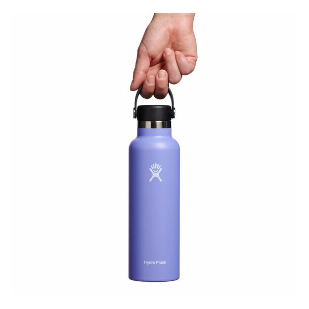 Hydro Flask Standard Flex Cap kelioninis buteliukas 621ml Lupine S21SX474