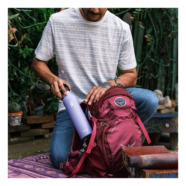 Hydro Flask Standard Flex Cap kelioninis buteliukas 621ml Lupine S21SX474