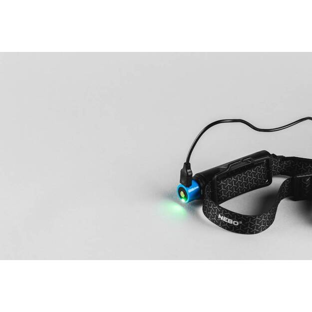 NEBO Einstein 1000 Galvos Žibintas