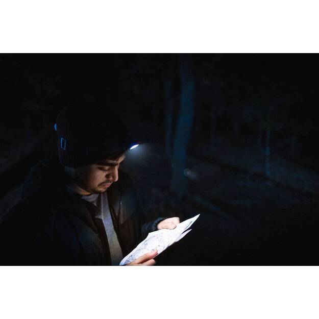 NEBO Einstein 1000 Galvos Žibintas