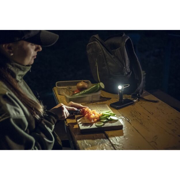 Armytek Elf C2 USBC žibintuvėlis 4in1 F05103W