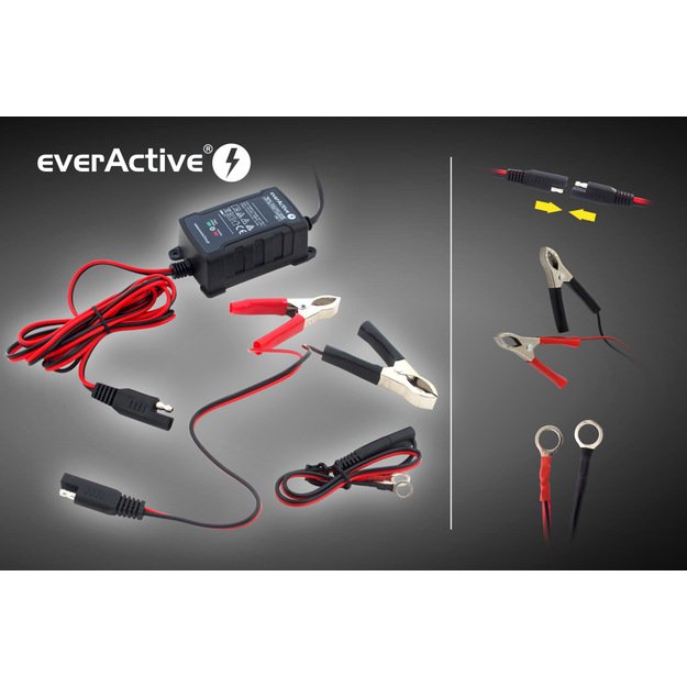 Automatinis akumuliatorių kroviklis everActive universalus automatinis 6/12V 1000mA 