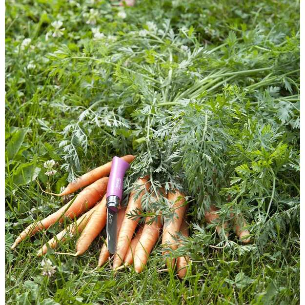 My first Opinel No. 7 Children's knife with a pink handle