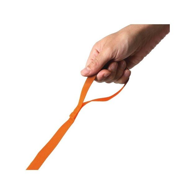 Рюкзак для малышей Littlelife Lion