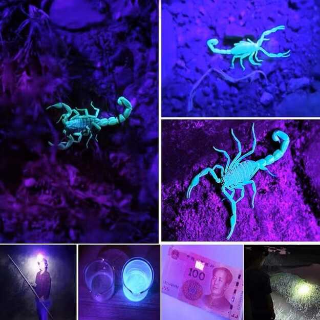 GENETIC UV LED žibintuvėlis USB įkraunamas SQ-818-UV