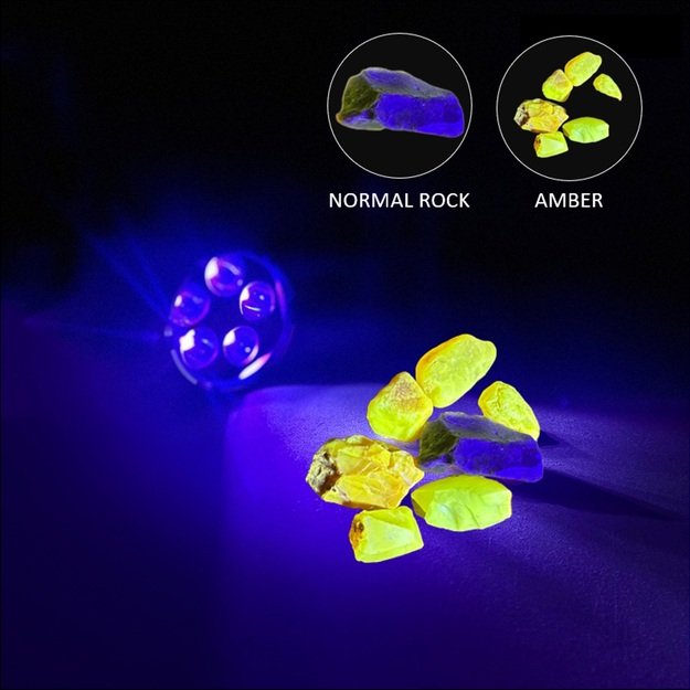 Amber Moon Pro ultravioletinės šviesos žibintuvėlis 42W