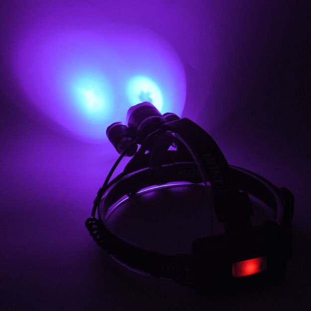 UV ir baltos šviesos prožektorius ant galvos