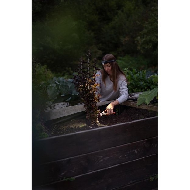 Ledlenser H5R Core headlamp