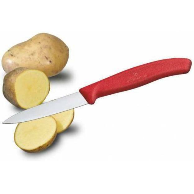 Нож для фруктов и овощей Victorinox 6.7601