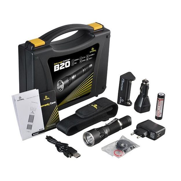 LED prožektorius XTAR B20 10W LED komplektas