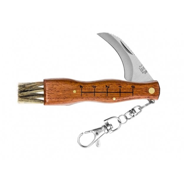 Knife Joker for mushrooms folding JKR31 (blade 5,5 cm)