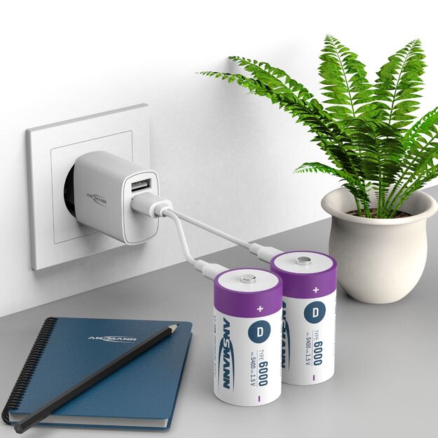 ANSMANN Įkraunamos baterijos D 1.5V 6000mAh (Li-Ion 12Wh) su USB-C lizdu, 2vnt įpakavime 