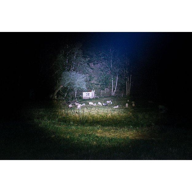 Fokusuojamas LED 450lm BRENNENSTUHL žibintuvėlis