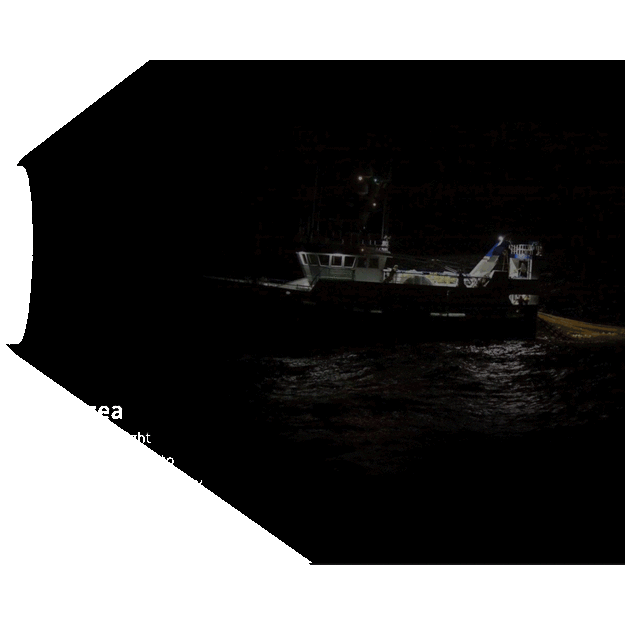 XTAR D06 1200lm žibintuvėlis nardymui