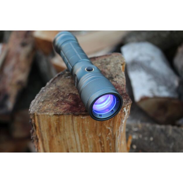 Prožektorius su balta ir ultravioletine šviesa su ZOOM fokusavimu