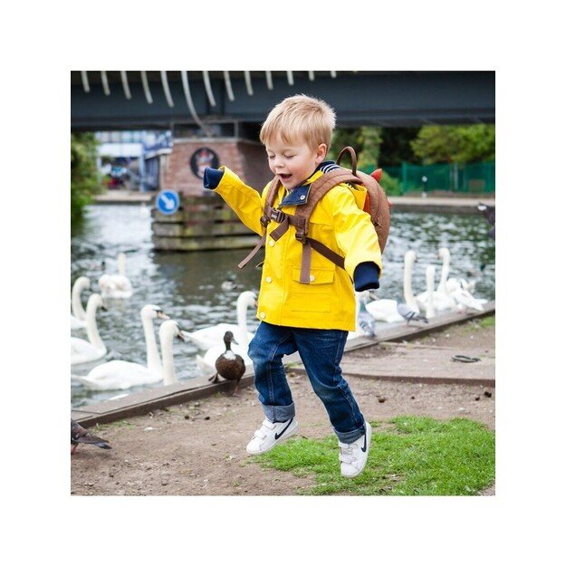 Детский рюкзак LittleLife Динозавр