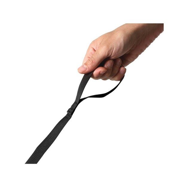 Littlelife Dinosaur Toddler Backpack