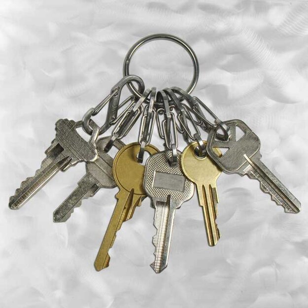 Nite Ize – S-Biner KeyRing nerūdijančio plieno karabinas - KRGS-11-R3