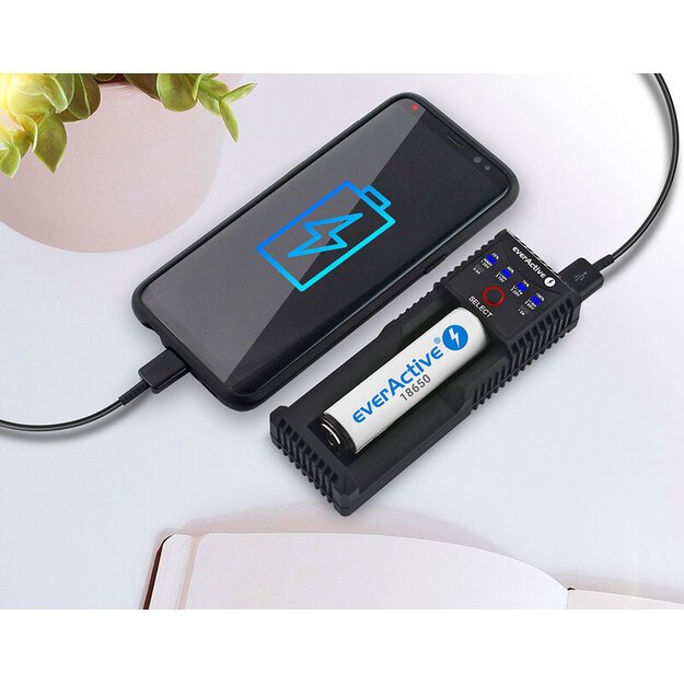 everActive Universalus įkroviklis UC-100C