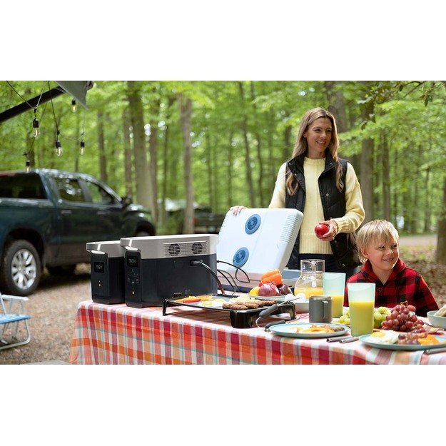 EcoFlow Delta MAX nešiojama elektrinė