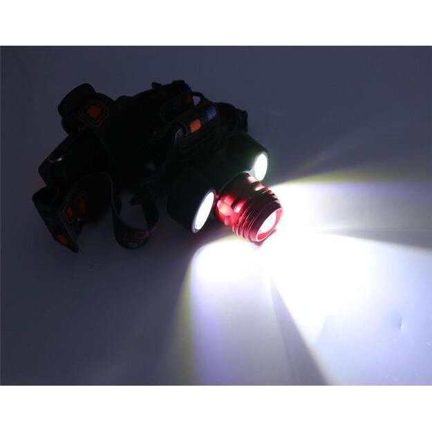 Head torch ButterFLY