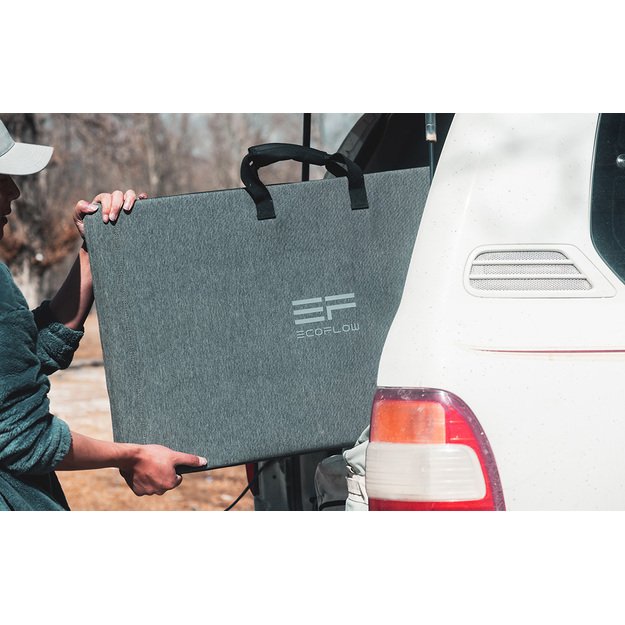 Фотогальваническая панель EcoFlow 220W