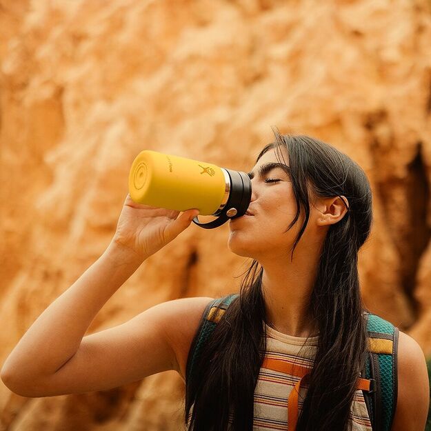 Термос Hydro Flask Wide Flex Sip Lid Beachplum 475 мл W16BCX526