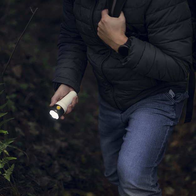 Armytek Bear WRG Flashlight F09901C