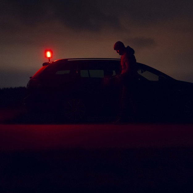 Armytek Bear WRG Flashlight F09901C