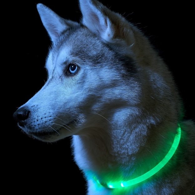 Светодиодная подсветка ошейника USB Зеленый