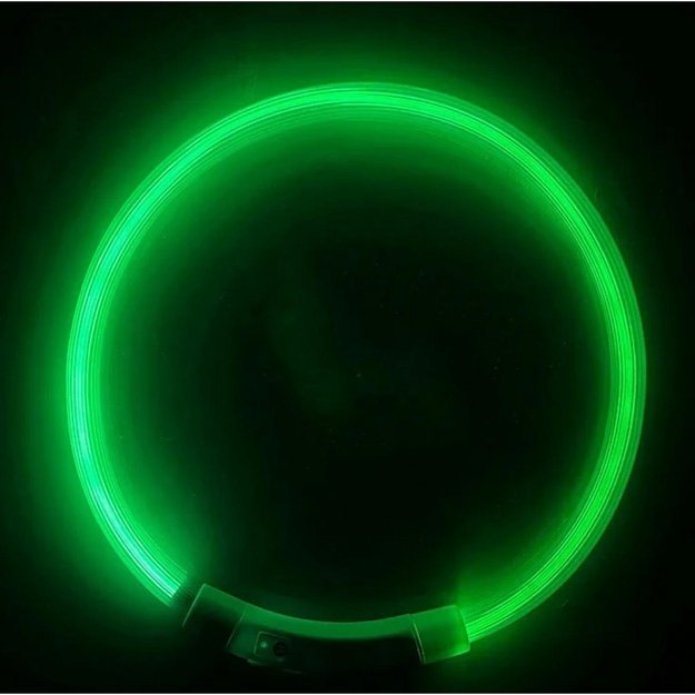 Светодиодная подсветка ошейника USB Зеленый