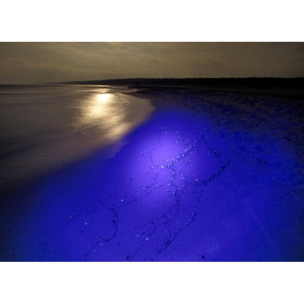 Galingas ultravioletinis UV 54W 12V prožektorius