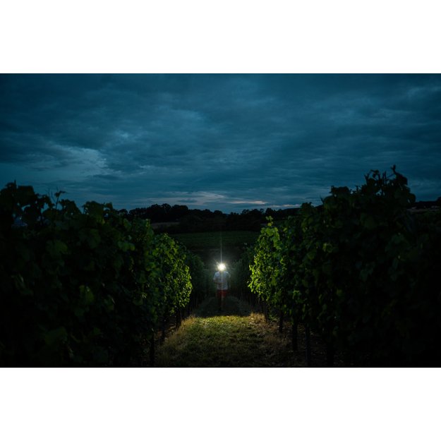 Ledlenser H7R Signature žibintuvėlis ant galvos