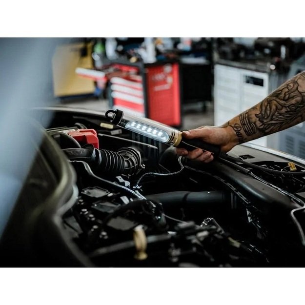 LED dirbtuvių lempa WL 550 IP65 su 5m laidu