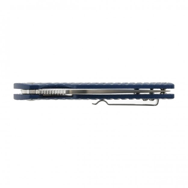 Ruike P123-ME sulenkiamas peilis Mėlynas