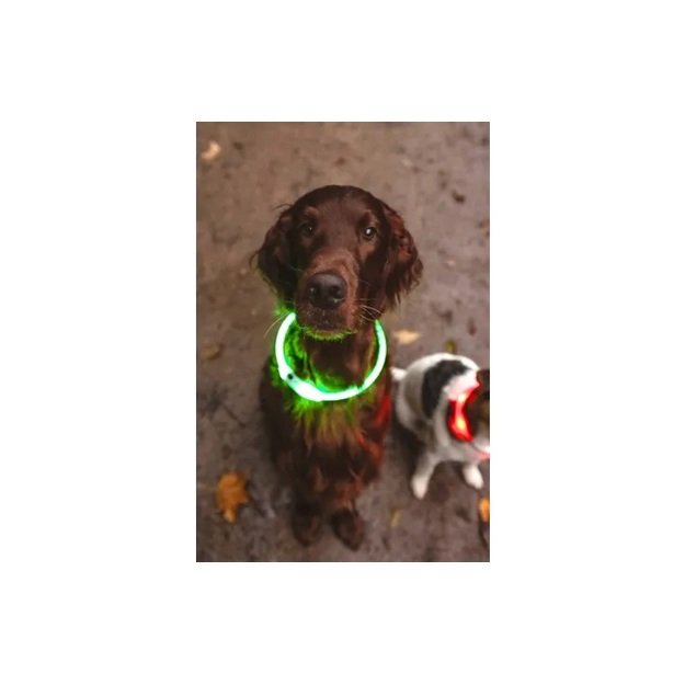 Flamingo Leora šviečiantis šunų antkaklis