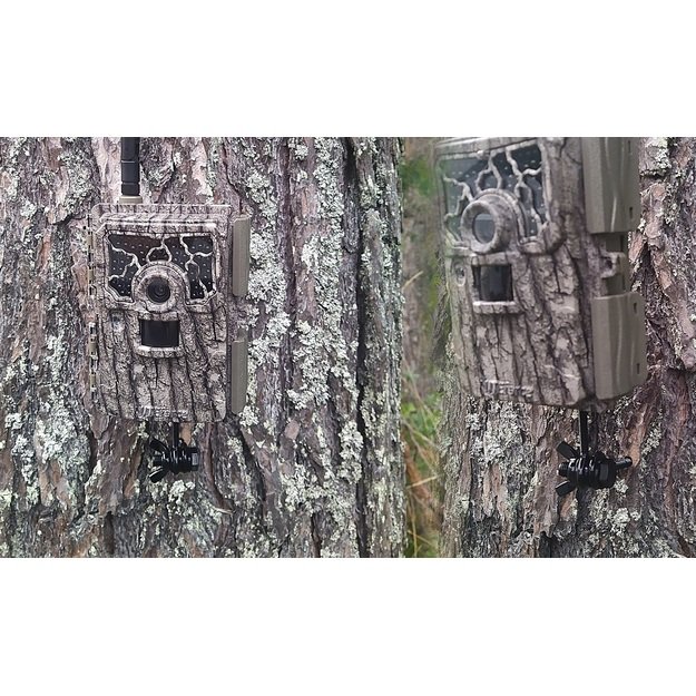 Niteforce kameros laikiklis ant medžio