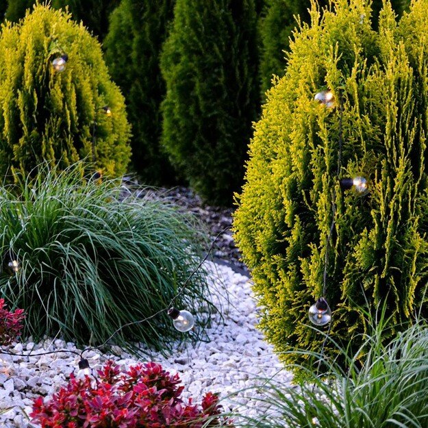 GLADI 2 30LED G40 10.6 m lauko lempučių girlianda su saulės baterija