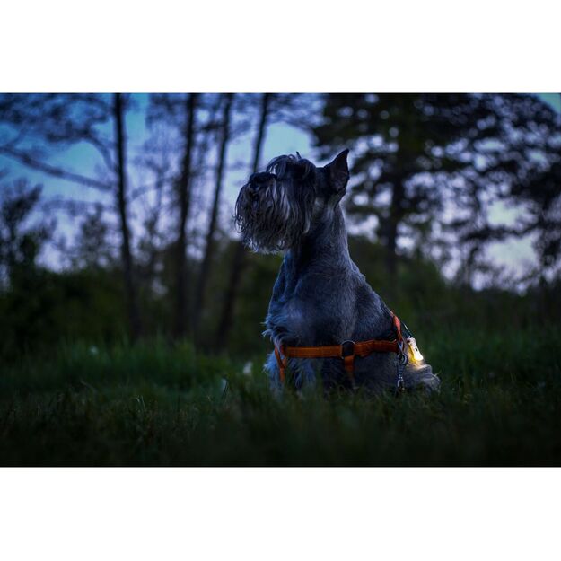 Фонарь Armytek Zippy, красный