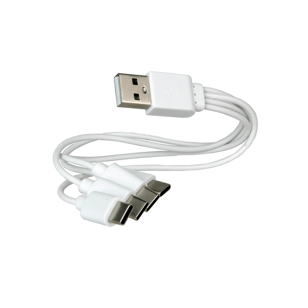 Литий-ионные аккумуляторы XTAR AA 1.5V 2450 мАч с портом USB-C, 4 шт.