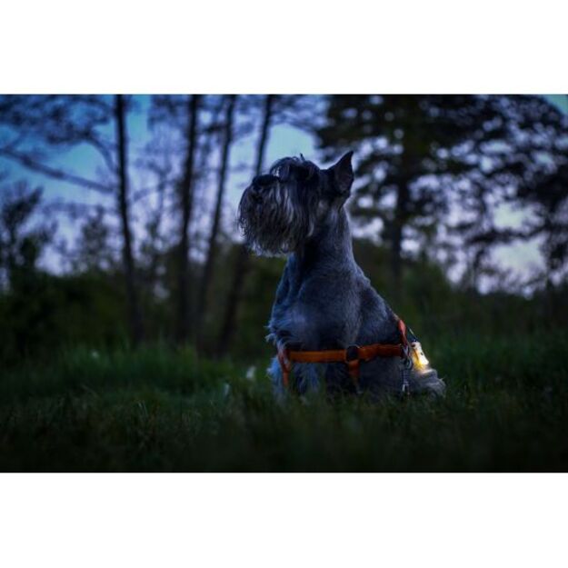 Armytek Zippy ES žibintuvėlis PILKAS F06101G