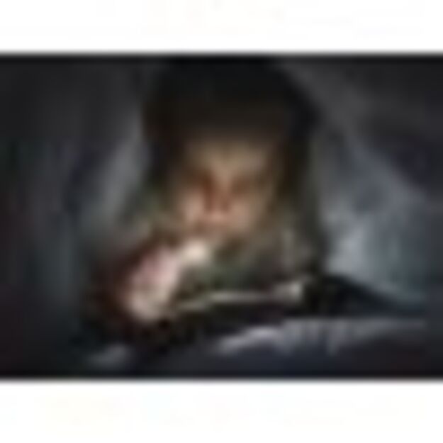 Armytek Zippy ES žibintuvėlis PILKAS F06101G