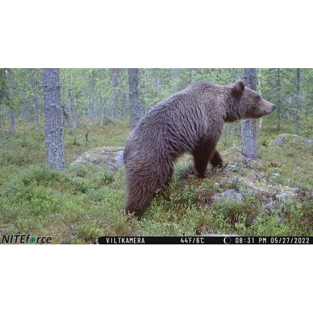 NITEforce kamera stebėjimo Concept 4G LTE 20MP 