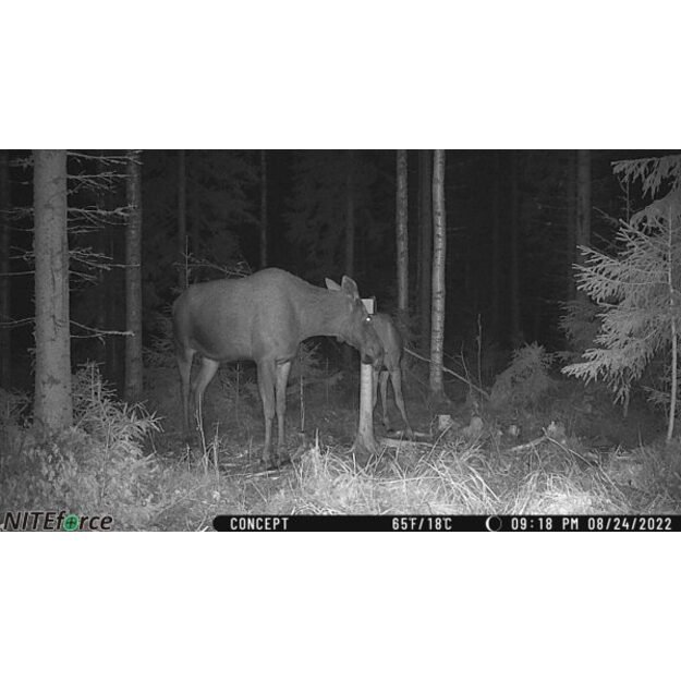 NITEforce kamera stebėjimo Concept 4G LTE 20MP 