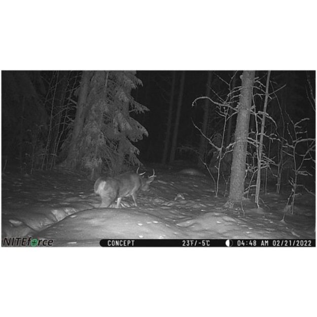 NITEforce kamera stebėjimo Concept 4G LTE 20MP 