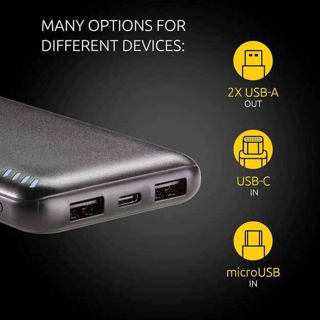 Intenso Powerbank USB P10000mah Черный 7332431