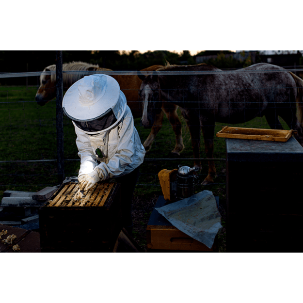 Ledlenser MH4 NEW 400lm headlamp, black