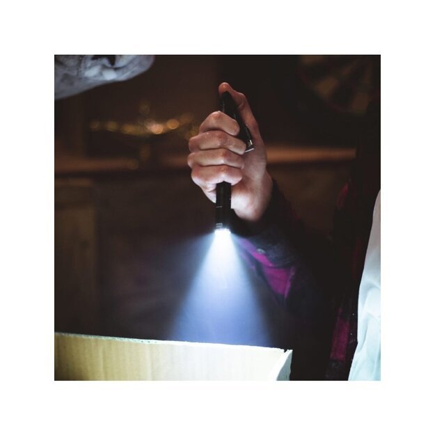 Nebo Inspector žibintuvėlis