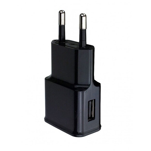 Mini USB kroviklis 1A 