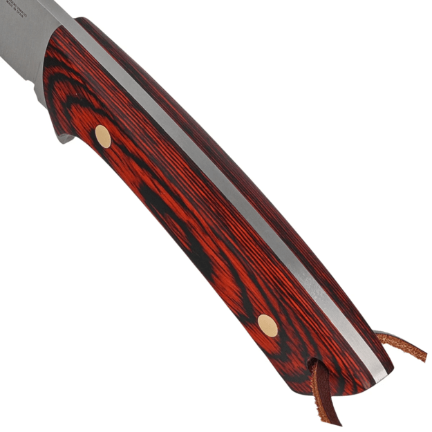 Muela Colibri fiksuotas peilis COL-9R Coral Pakka Wood Satin X50CrMoV15